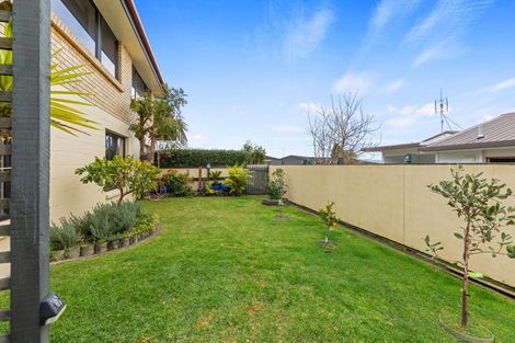Photo of property in 351b Maungatapu Road, Maungatapu, Tauranga, 3112