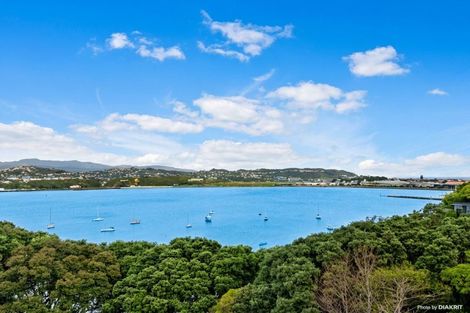 Photo of property in 11 Rewa Road, Hataitai, Wellington, 6021