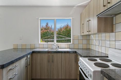 Photo of property in 63 Pihanga Street, Taupo, 3330