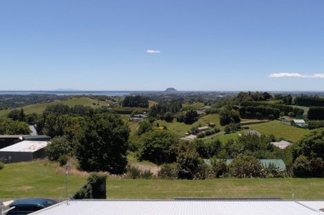 Photo of property in 229b Crawford Road, Minden, Tauranga, 3171