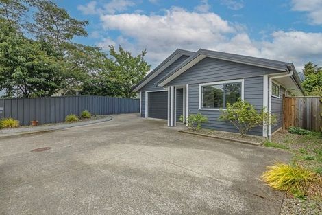Photo of property in 153 Stanford Street North, Ashhurst, 4810