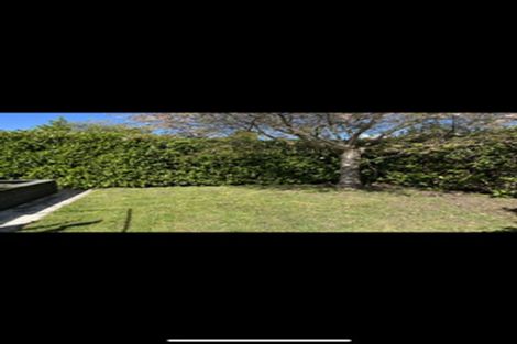 Photo of property in 1007 Colombo Street, St Albans, Christchurch, 8014