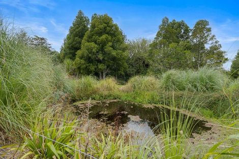 Photo of property in 817a Whakapirau Road, Whakapirau, 0583