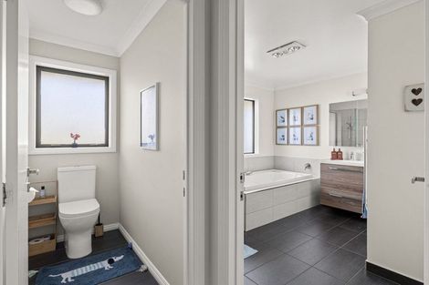 Photo of property in 255 Calico Line, Marton, 4787