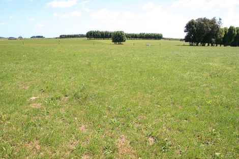 Photo of property in 111 Ohangai Road, Normanby, Hawera, 4675