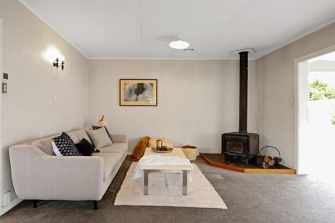 Photo of property in 17 Macey Crescent, Witherlea, Blenheim, 7201