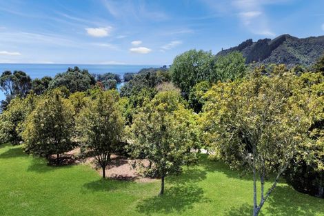 Photo of property in 8328 State Highway 35, Whanarua Bay, Te Kaha, 3199