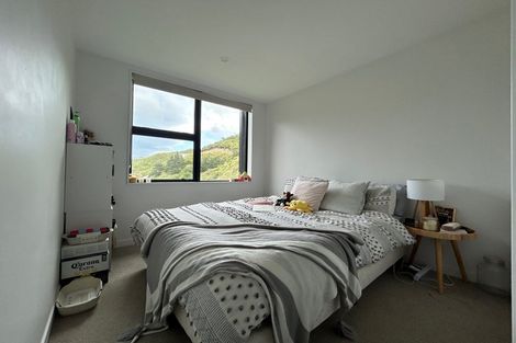 Photo of property in 41 Rua Kai Way, Brooklyn, Wellington, 6021