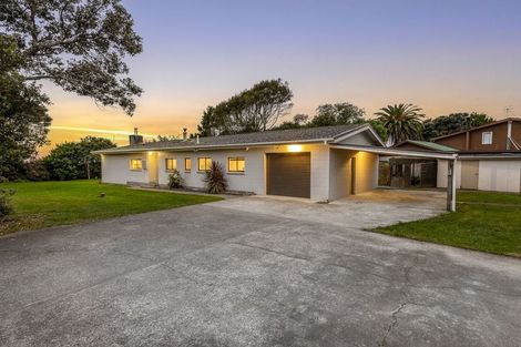 Photo of property in 189 Tararua Road, Levin, 5571