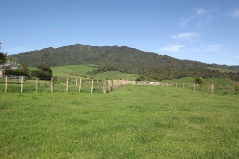 Photo of property in 669b Te Hutewai Road, Raglan, 3296