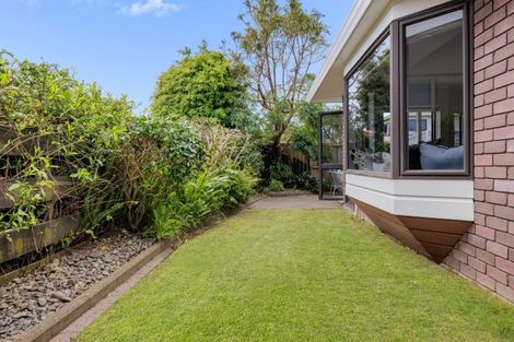Photo of property in 22 Wells Avenue, Mount Maunganui, 3116