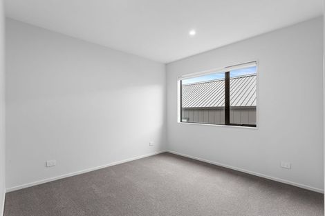 Photo of property in 17 Park Green Avenue, Rosehill, 2113