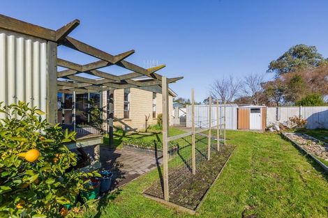 Photo of property in 20 Watts Street, Waipawa, 4210