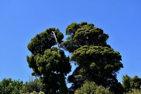 Photo of property in 55b Barry Road, Waihi, 3610
