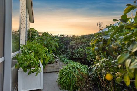 Photo of property in 114 Kennedy Road, Pyes Pa, Tauranga, 3112