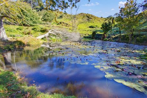 Photo of property in 822 Motukawa Road, Tarata, Inglewood, 4387