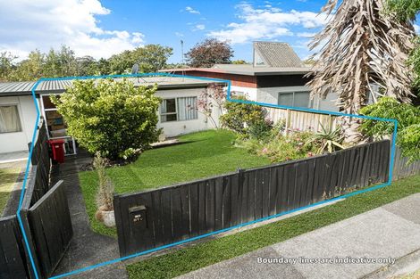 Photo of property in 87 Nikau Street, New Lynn, Auckland, 0600