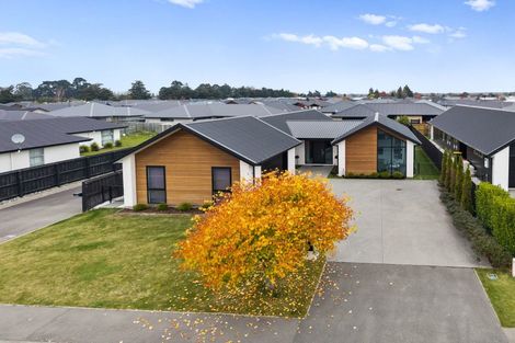 Photo of property in 10 Redhaven Rise, Netherby, Ashburton, 7700