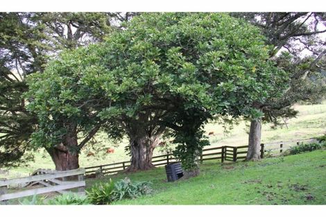 Photo of property in 262a Whau Valley Road, Whau Valley, Whangarei, 0112
