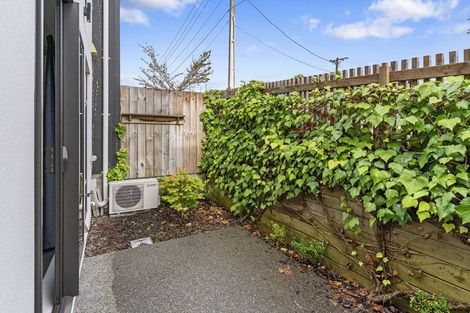 Photo of property in 25u2 Thackeray Street, Hamilton Lake, Hamilton, 3204