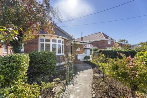 Photo of property in 19 Ings Avenue, Saint Clair, Dunedin, 9012
