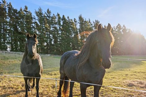 Photo of property in 1591 Thongcaster Road, Burnt Hill, Oxford, 7495