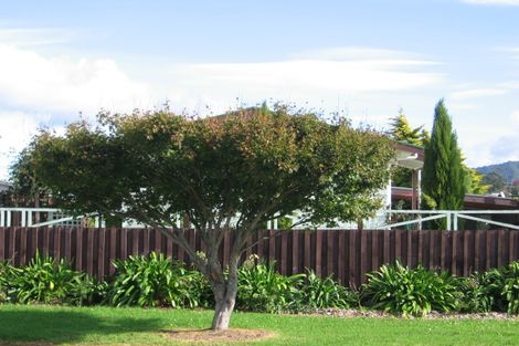 Photo of property in 26 Hindmarsh Street, Henderson, Auckland, 0612