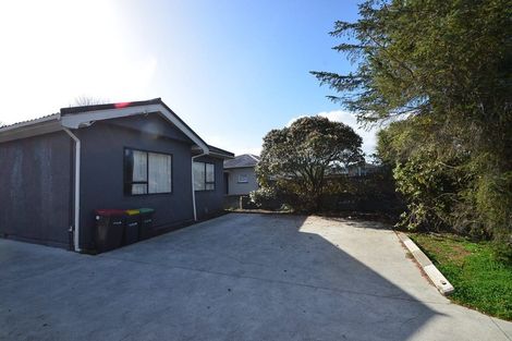 Photo of property in 17 Grenville Street, Waltham, Christchurch, 8011