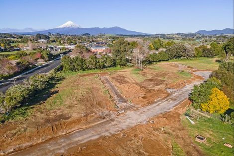 Photo of property in 336-348 Frankley Road, Ferndale, New Plymouth, 4310