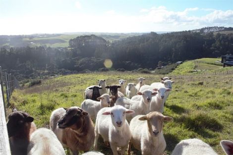 Photo of property in 71b Taiapa Valley Road, Muriwai, 0881
