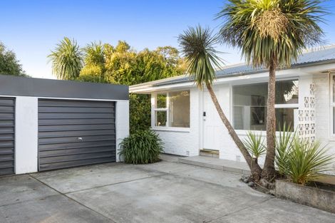 Photo of property in 4/5 Pitt Place, St Albans, Christchurch, 8014
