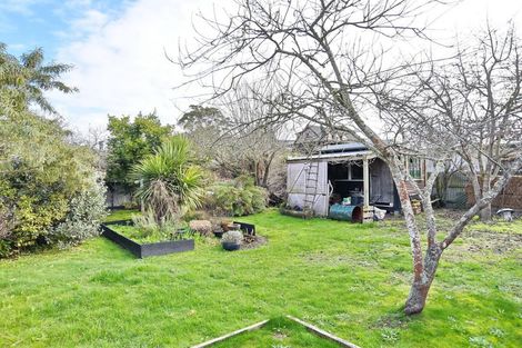 Photo of property in 43 Batten Grove, The Pines Beach, 7630