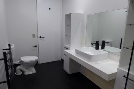 Photo of property in The Lofts, 19/185u Victoria Street, Te Aro, Wellington, 6011