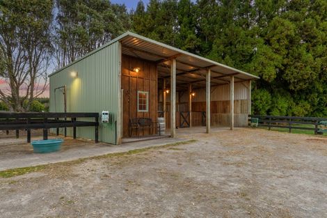 Photo of property in 1280 Omanawa Road, Omanawa, Tauranga, 3171
