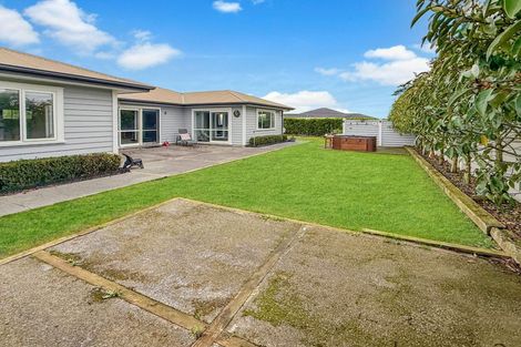 Photo of property in 42 Wapiti Avenue, Feilding, 4775