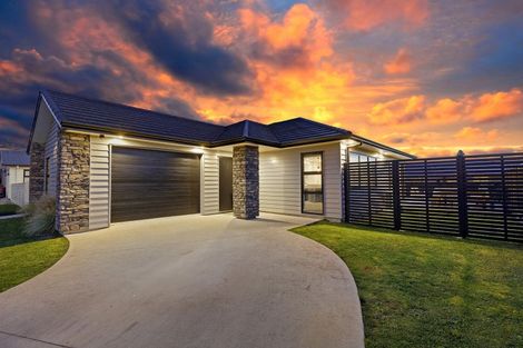 Photo of property in 53 Buddle Road, Wallaceville, Upper Hutt, 5018