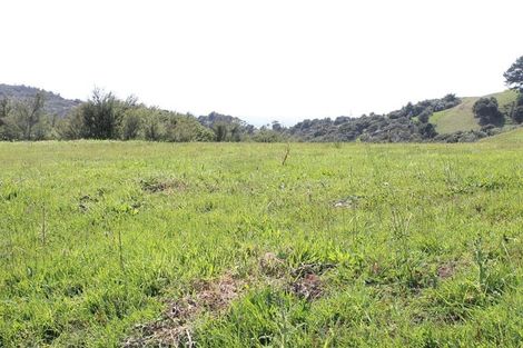 Photo of property in 60 Summer Road, Tinopai, Matakohe, 0593