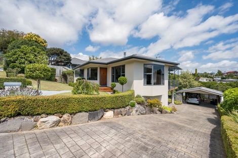 Photo of property in 17 Blair Terrace, Richmond, 7020