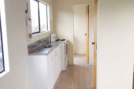 Photo of property in 120 Nixon Street, Hamilton East, Hamilton, 3216