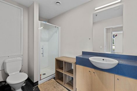 Photo of property in Hanson House, 11a/27 Hanson Street, Mount Cook, Wellington, 6021