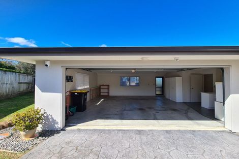 Photo of property in 20 Pagitt Street, Coromandel, 3506