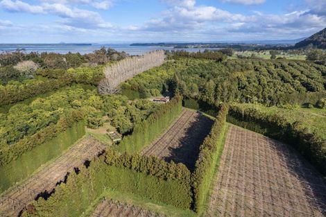 Photo of property in 308 Athenree Road, Athenree, Katikati, 3177