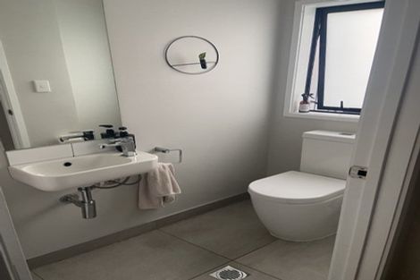 Photo of property in 12 Piko Lane, Hobsonville, Auckland, 0616