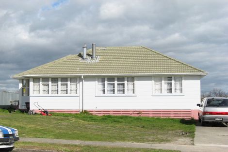 Photo of property in 29 Mclean Terrace, Waipukurau, 4200