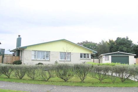 Photo of property in 29 Frickleton Street, Taradale, Napier, 4112