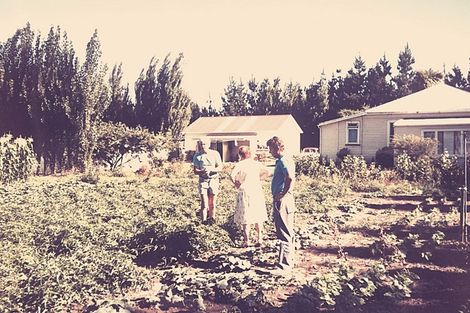 Photo of property in 176 Giles Road, Kaiapoi, 7692