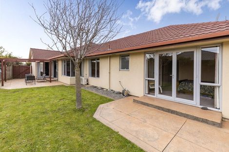 Photo of property in 17 Kendon Street, Witherlea, Blenheim, 7201
