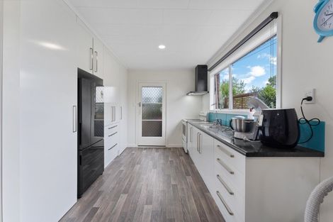 Photo of property in 127 Lemon Street, New Plymouth, 4312