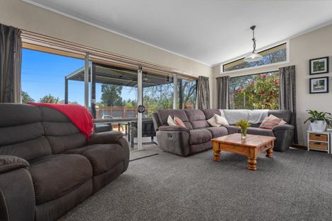 Photo of property in 314 Te Rahu Road, Poroporo, Whakatane, 3193