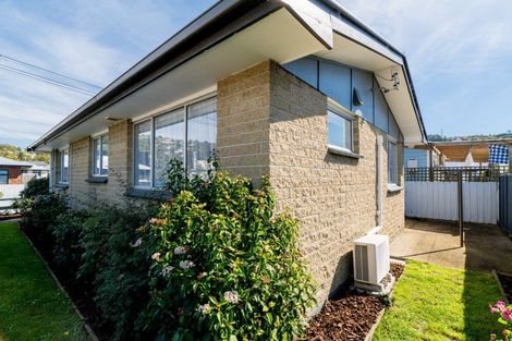 Photo of property in 17b Ruskin Terrace, Caversham, Dunedin, 9012
